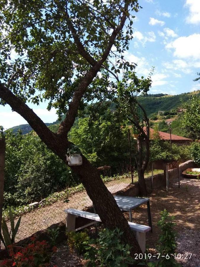 Nnn Guest House Goris Exteriér fotografie